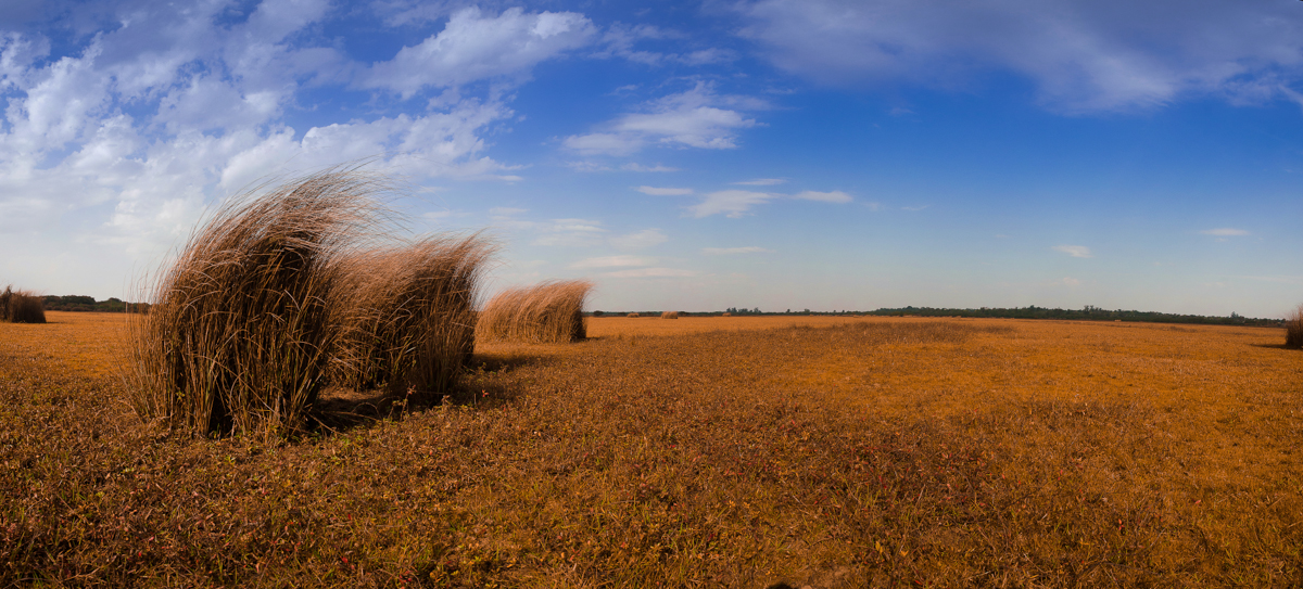 _DSC1114 Panorama-2.jpg